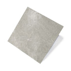 Cosmic 600x600 Matt Silver Stone Look
