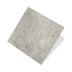 Cosmic 600x600 Grip Silver Stone Look