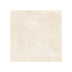 Hamilton 600x600 Surface Tec Champagne Stone Look