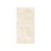 Hamilton 600x300 Surface Tec Champagne Stone Look