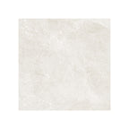 Hamilton 600x600 Surface Tec Coral Stone Look