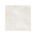 Hamilton 600x600 Surface Tec Coral Stone Look
