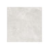 Hamilton 600x600 Surface Tec Ice Silver Stone Look