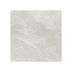 Hamilton 600x600 Surface Tec Pearl Stone Look