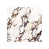 Wonderland 600x600 Natural Calacatta Viola Marble Look Rectified Sample