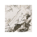 Elysium 600x600 DDG White Stone Look Rectified
