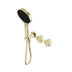 Nero Serenity Progressive Shower System With Metal Handle And Nero Serenity Hand Shower Brushed Gold
