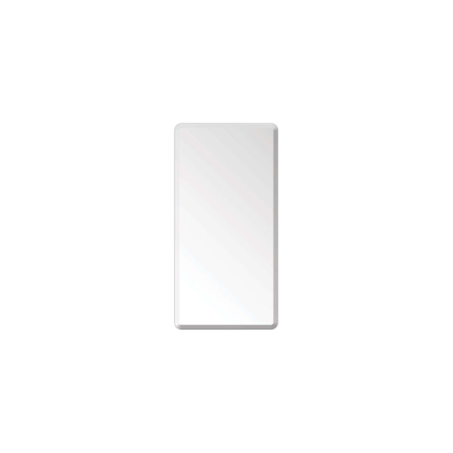 Recta Bevel Edge Plain Mirror 450x900mm Frameless Mirror Lukka Bathware Default Title