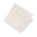 Poetry Stone 600x600 Natural White Stone Look Rectified