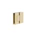 ADP Shower Screen Hinge Glass to Glass Brass