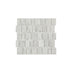 Marble Mosaic Scarpa Varies Honed Carrara