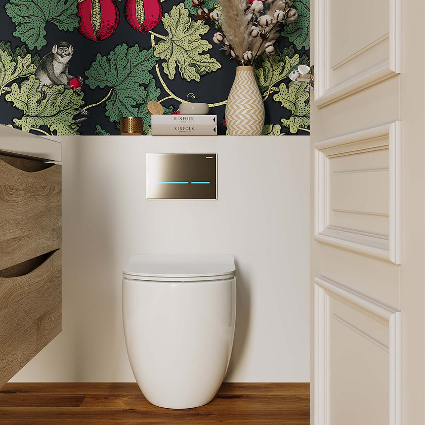 BelBagno Alexander-R toilet installed in modern bathroom interior with GEBERIT flush plate and wooden vanity by Tilemall