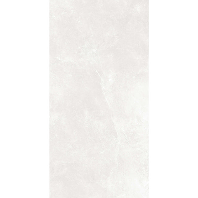 Cassio 2.0 1200x600 Matt Light Stone Look Rectified