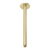 Phoenix Vivid Ceiling Arm 300mm Brushed Gold