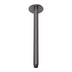 Phoenix Vivid Ceiling Arm 300mm Brushed Carbon
