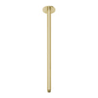 Phoenix Vivid Ceiling Arm 450mm Brushed Gold