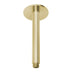 Phoenix Vivid Ceiling Arm 150mm Brushed Gold
