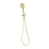 Phoenix Vivid Hand Shower Brushed Gold