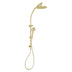 Phoenix Vivid Twin Shower Brushed Gold
