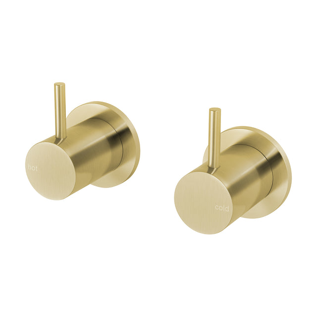 Phoenix Vivid Slimline Wall Top Assemblies Brushed Gold, product view