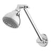 Phoenix Ivy Shower Arm & Rose Chrome