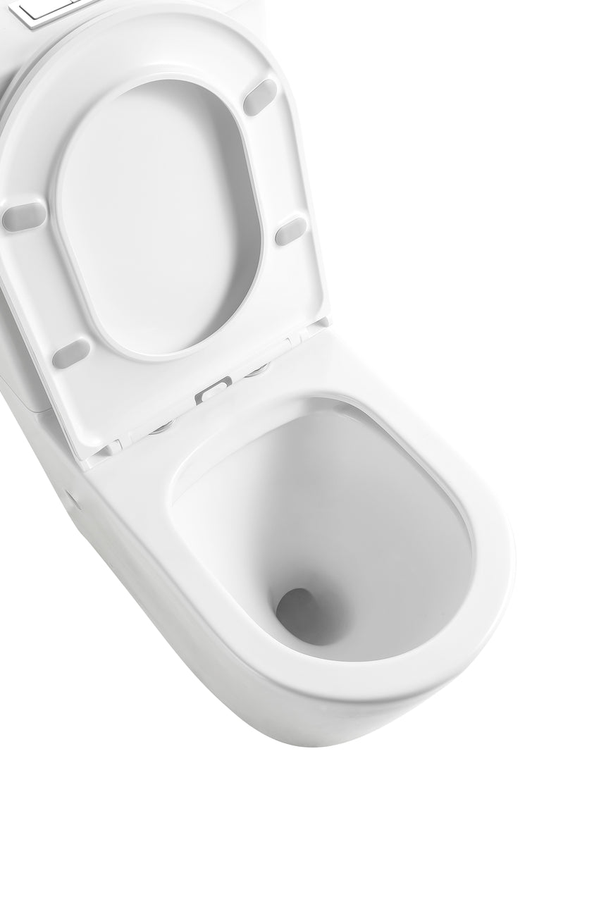 Detail of Lukka Agena bowl showing rimless flushing and soft-close seat hinges by Tilemall