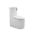 Devito Wall Faced Toilet Suite