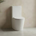 Acadia Full Rimless Wall Faced Toilet Suite
