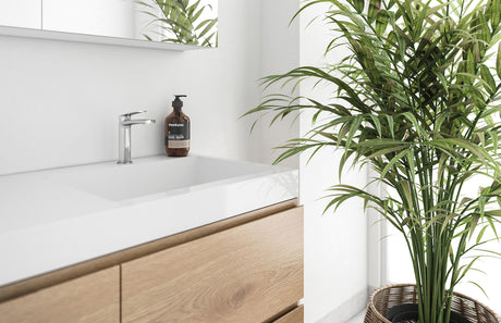 lifestyle_115-7700-00_Phoenix_Mekko_Basin_Mixer_RGB