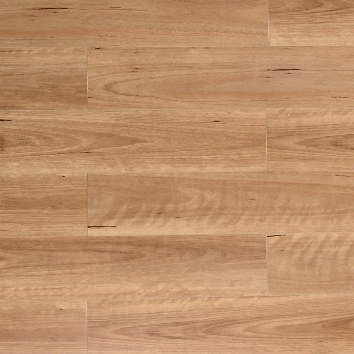 Bass Timber Blackbutt 1212x188x10.3mm hybrid flooring installed showing matt finish with natural grain and knots by Tilemall