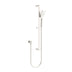 Nero Bianca/Ecco Rail Shower Brushed Nickel