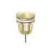 Nero Universal Pop Up Waste Brushed Yellow Gold