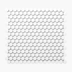 Porcelain Mosaic PennyRound D20mm Gloss White
